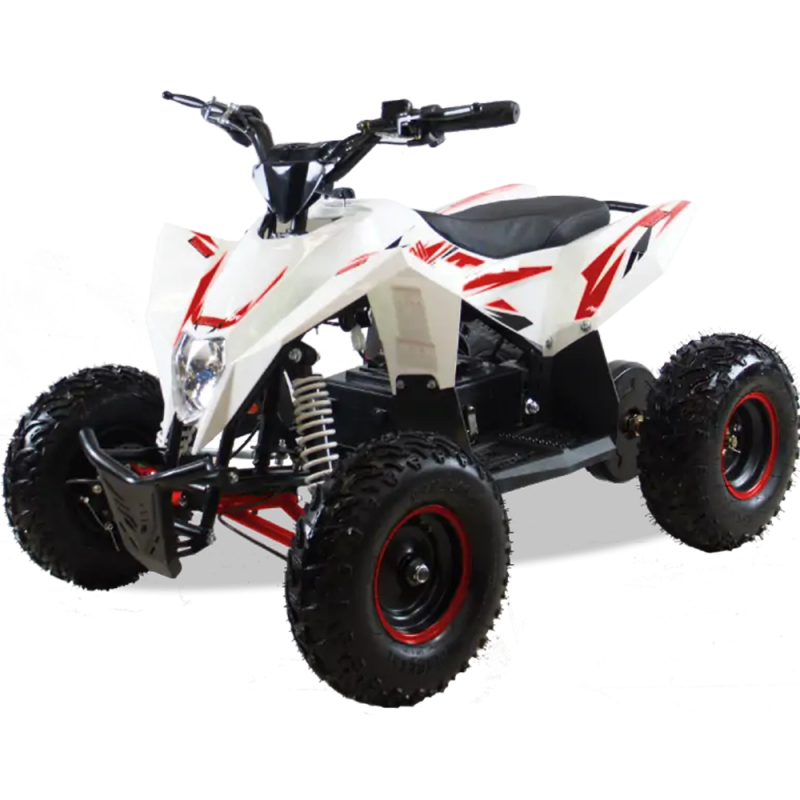 Детский квадроцикл MOTAX GEKKON 1300W