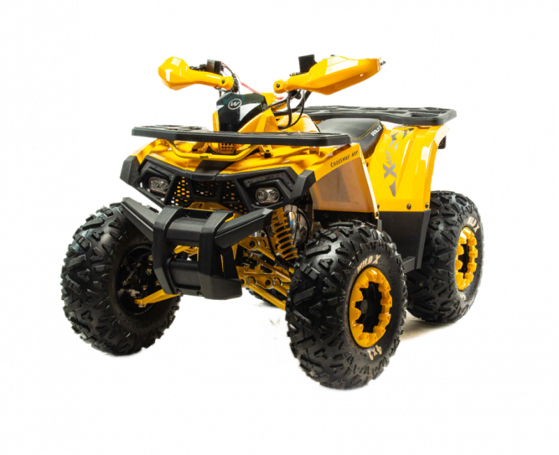 Лучший квадроцикл 125 кубов Motoland Wild X 125