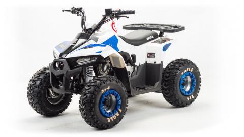 Детский квадроцикл Motoland EAGLE 110 кубов