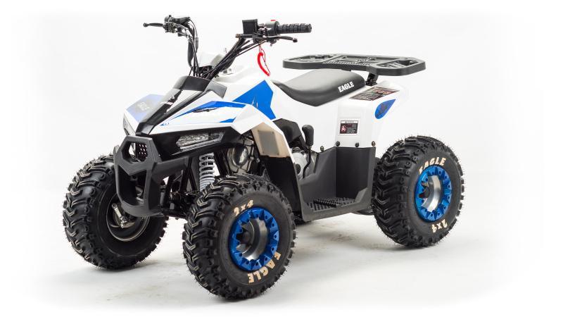 Детский квадроцикл Motoland EAGLE 110 кубов