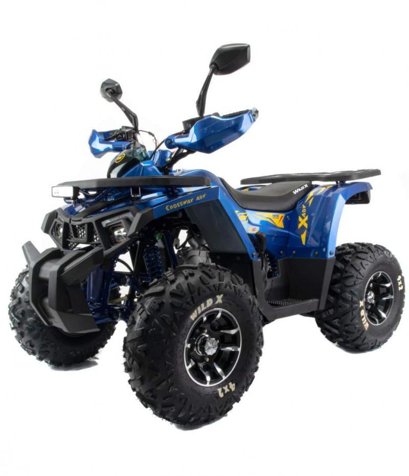Квадроцикл Motoland  125 WILD X PRO
