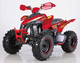 Квадроцикл YACOTA TYPHOON 250