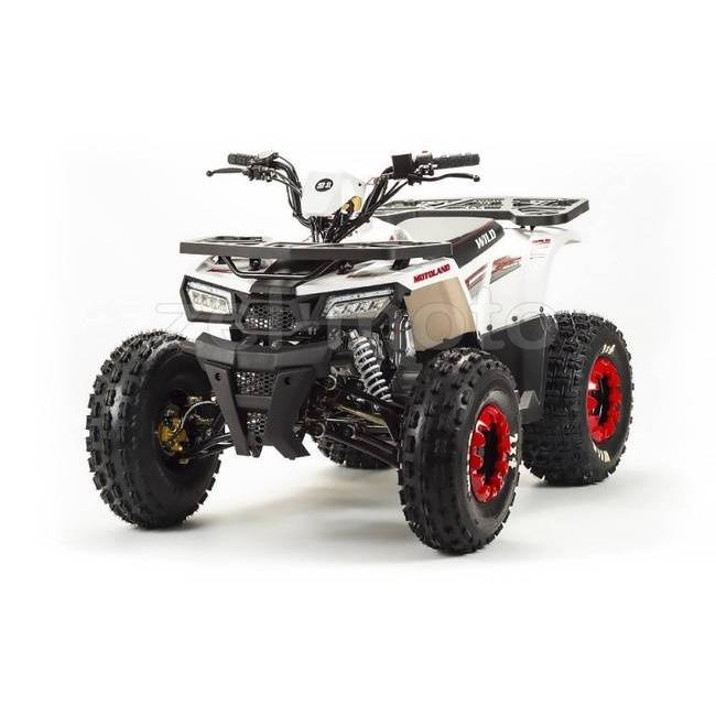 Подростковый квадроцикл MotoLand ATV WILD 125 Basic